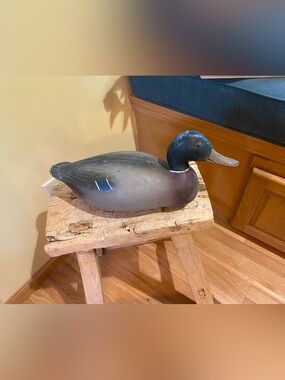 50’s-60’s Animal trap co.  Duck Decoy.  15”.